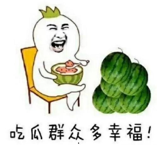 晋江娱乐圈吃瓜文